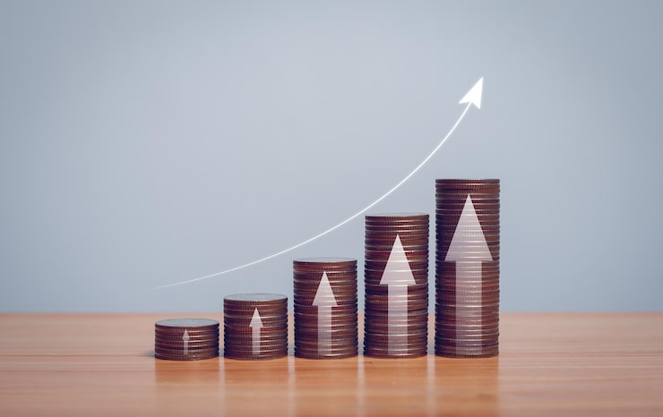 Dividends Work in Indian Stock Market Dividends Work in Indian Stock Market